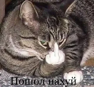 🖕 emoji Бывает Telegram sticker 17 of 90