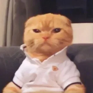 Sticker from افضل ملصق