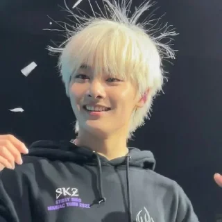 😀 emoji I.N stray kids Telegram sticker 20 of 31