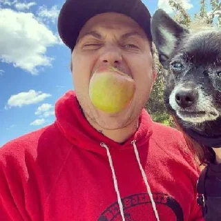 🍏 emoji Веселая ферма 7 Telegram sticker 7 of 70