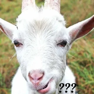 😦 emoji дахакарунская ферма Telegram sticker 14 of 35