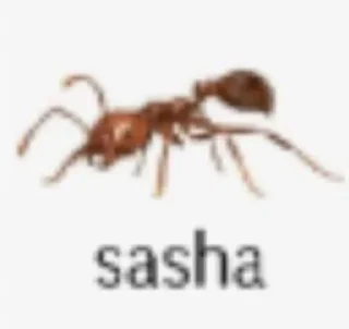 😍 emoji Юзай(Ремчик) :: @Remy_haha Telegram sticker 12 of 70