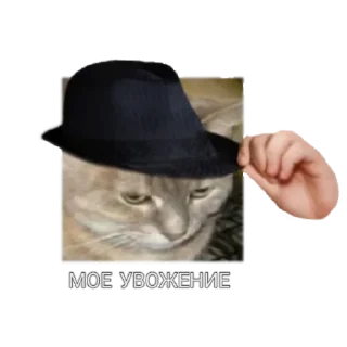 👍 emoji @Podgorka's kanged puke Telegram sticker 22 of 35