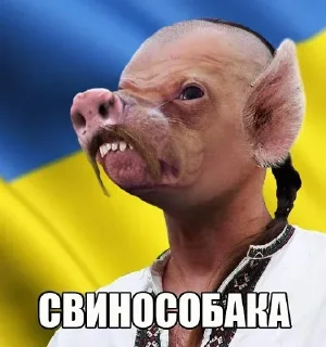 Sticker from Ебем Хохлов - @REZAK_TG