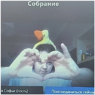 Sticker from Сонька