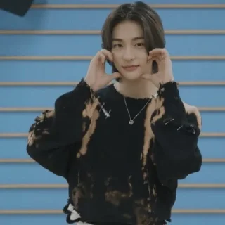🫶 emoji Stray kids by @Ministrelia_98 Telegram sticker 23 of 73
