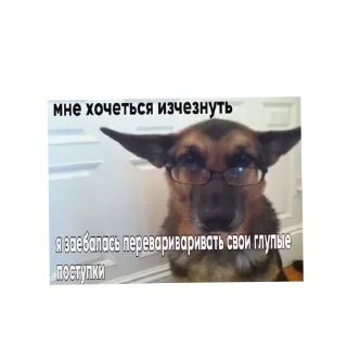 🫀 emoji Чего ты хочешь меня не существует удали етот пак👋 Telegram sticker 24 of 48