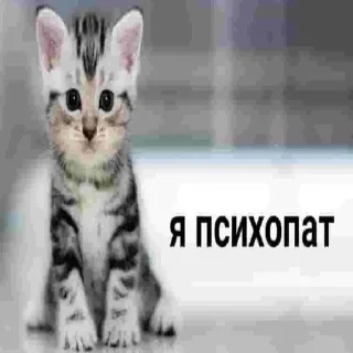 🤬 emoji ксюшк душка Telegram sticker 16 of 60