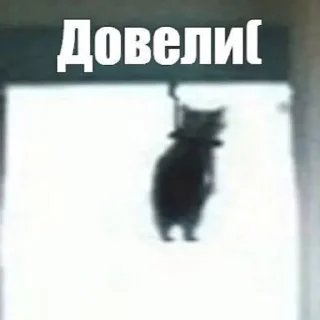 😇 emoji ксюшк душка Telegram sticker 15 of 60