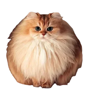 😀 emoji Svatosh Favourite Telegram sticker 22 of 34