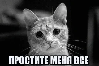 🥺 emoji юзая пак я отдаюсь в рабство Telegram sticker 5 of 79