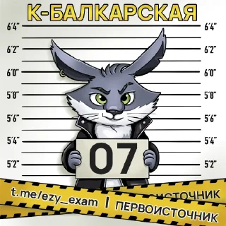 🇦🇮 emoji Все регионы @ezy_exam Telegram sticker 7 of 84
