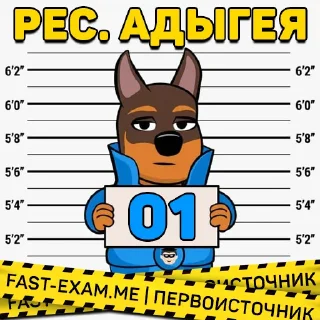 Sticker from 🧭 Все регионы @fast_exam