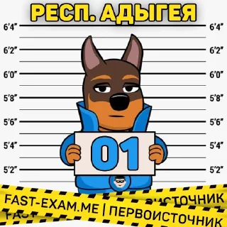 Sticker from Все регионы @fast_exam