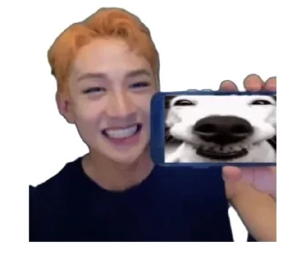 😁 emoji SKZ Telegram sticker 22 of 120