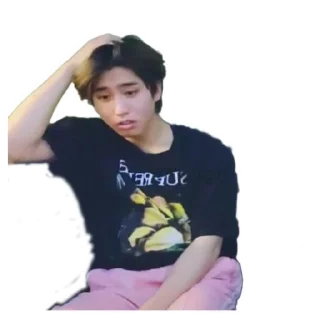 🥴 emoji SKZ Telegram sticker 8 of 120