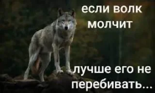 🐺 emoji Ауф Telegram sticker 14 of 53