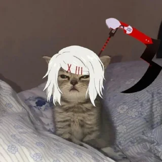 🌸 emoji ЛЮБЛЮ СУЗУЯ ДЖУЗО Telegram sticker 8 of 101