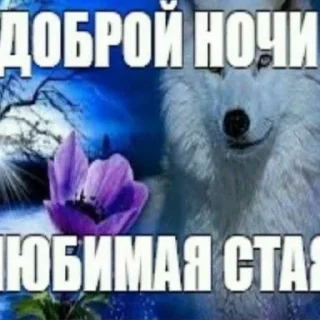 Sticker from @kwrsep лол