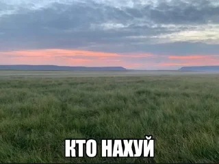 🤔 emoji @dfkdfddk даун Telegram sticker 21 of 110