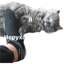 🙀 emoji 10 Клас (2017-18) By @klusroma Telegram sticker 13 of 32