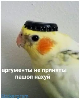 🖕 emoji Какой же ты ущерб мать моя попугай Telegram sticker 21 of 52