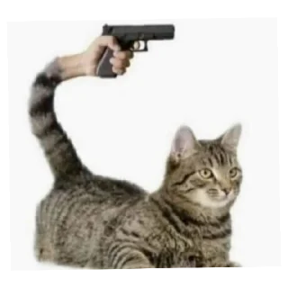 🔫 emoji о тупа я Telegram sticker 10 of 60