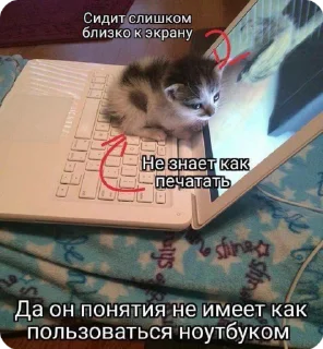 💻 emoji Дизайнкор Telegram sticker 19 of 51