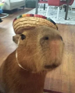 🇲🇽 emoji capybara Telegram sticker 19 of 50