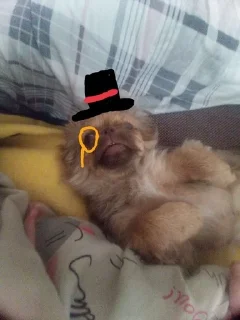 🧐 emoji Клёпа🤯 :: @chinafastlapsha12 Telegram sticker 6 of 35