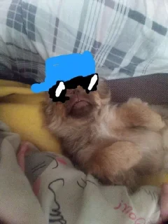 😎 emoji Клёпа🤯 :: @chinafastlapsha12 Telegram sticker 12 of 35
