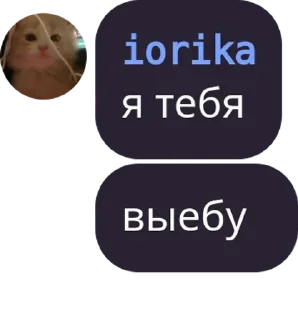 👋 emoji Он евериван случаес лайф || @shxdowrate Telegram sticker 17 of 70