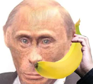 🐵 emoji Русня не люди Telegram sticker 12 of 36