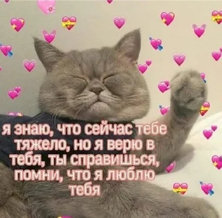 🌟 emoji Distars на связи Telegram sticker 14 of 89