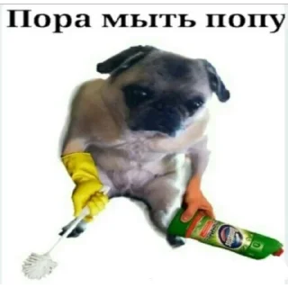 ⭐ emoji Уебанский шутки Telegram sticker 6 of 71