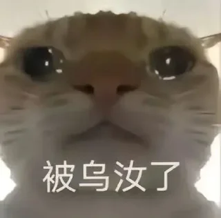 🥹 emoji Кто прочел тот поляк Telegram sticker 10 of 38