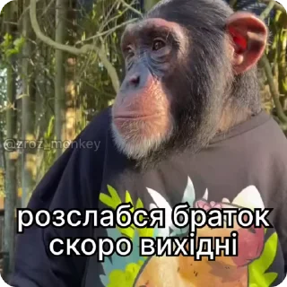 🌟 emoji 🇺🇦🦍GorillaMakaka by @mackerelsticker Telegram sticker 18 of 72