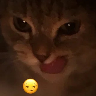 😏 emoji шАрАгА Telegram sticker 17 of 31