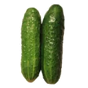 ❤ emoji Cucumber Essentials Telegram sticker 2 of 28