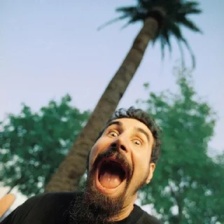 😃 emoji SOAD Telegram sticker 8 of 120