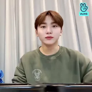 👽 emoji seungkwan @SSICTS Telegram sticker 23 of 40