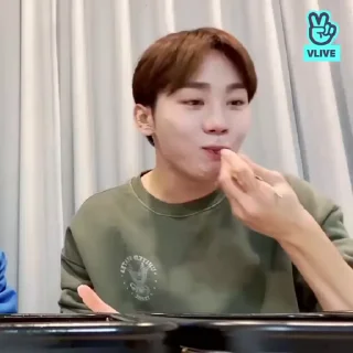 👽 emoji seungkwan @SSICTS Telegram sticker 13 of 40