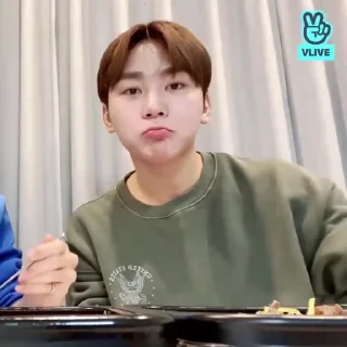 👽 emoji seungkwan @SSICTS Telegram sticker 8 of 40