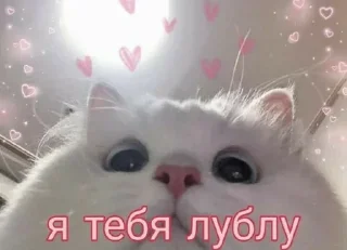 🌟 emoji милые пикчи. <3 💗 Telegram sticker 13 of 63