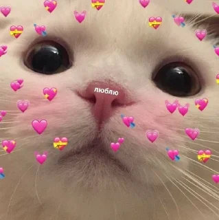 🌟 emoji милые пикчи. <3 💗 Telegram sticker 9 of 63