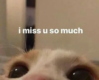 🥺 emoji милые пикчи Telegram sticker 22 of 56