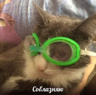 Sticker from Люблю Даника больше всех! 🫶🏻