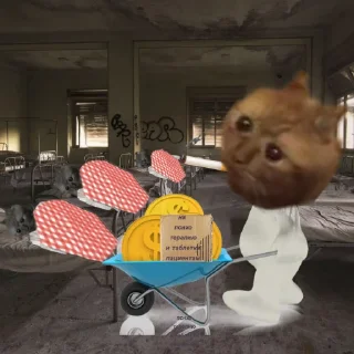 👨‍⚕ emoji Опять на работу Кот Pizdos Telegram sticker 6 of 49