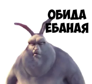 😒 emoji Зайка Telegram sticker 17 of 24