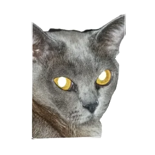 😒 emoji Тина и луна две крашки🫶 Telegram sticker 11 of 31